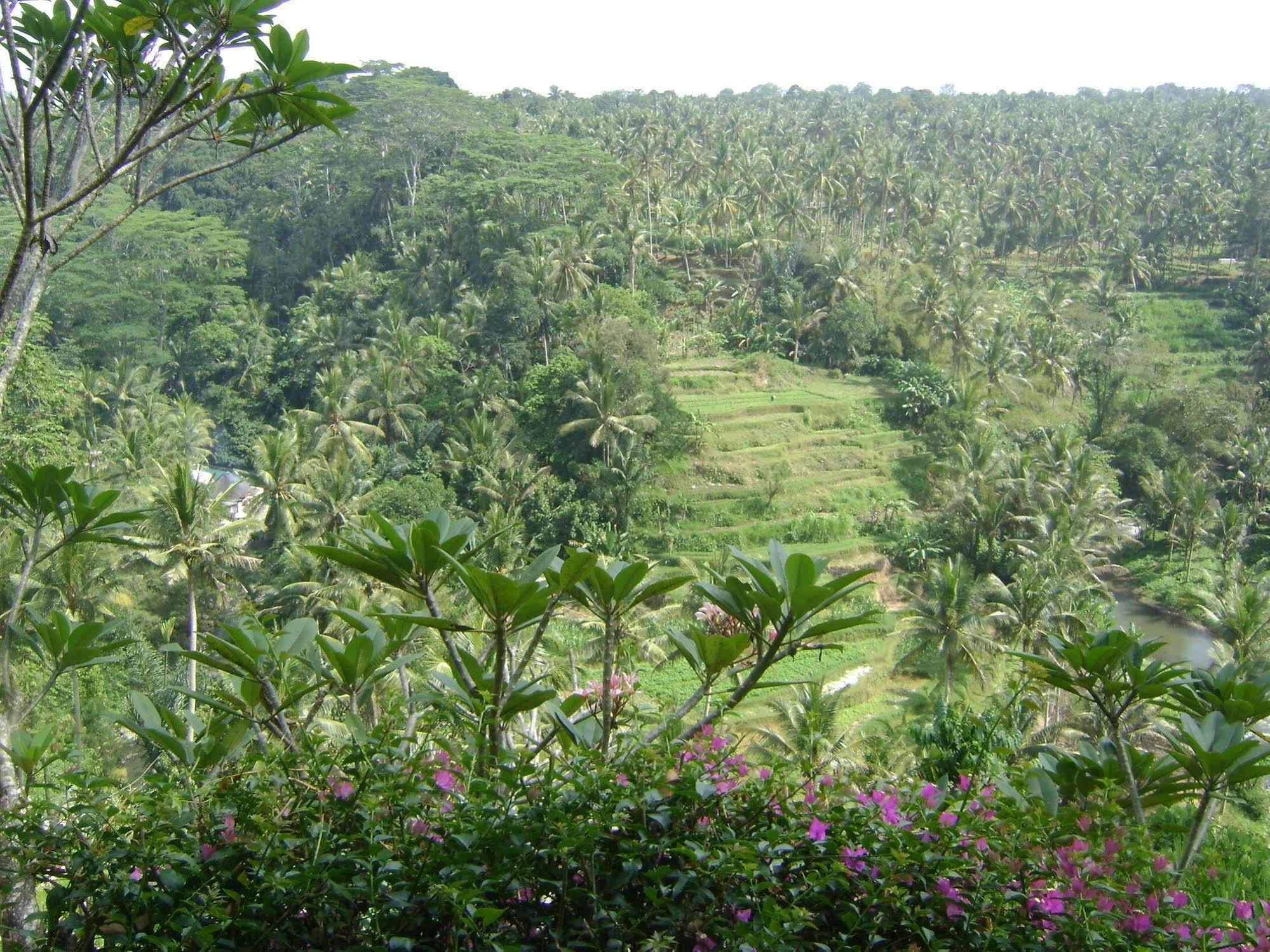 Hotel Taman Bebek Bali Ubud Exterior foto